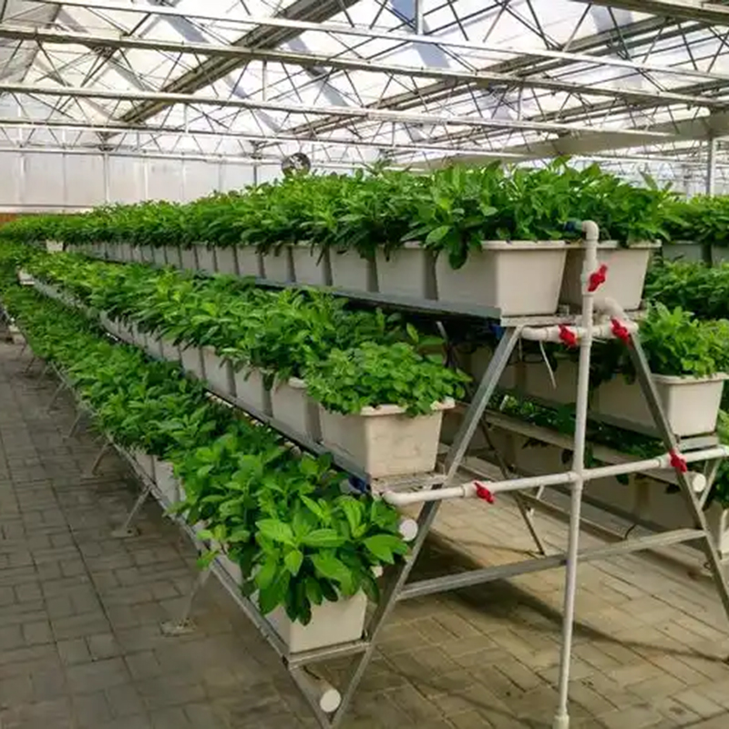 广安市植物工厂种植槽 - 厂家