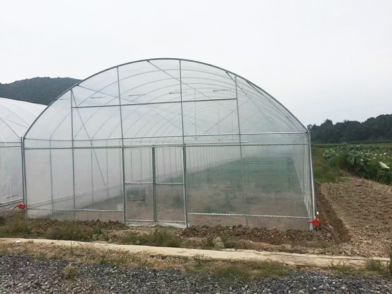 广安市薄膜大棚大田灌溉 - 价格